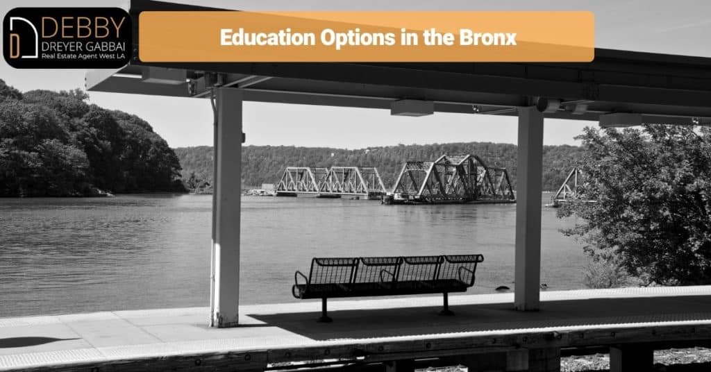 Education Options in the Bronx