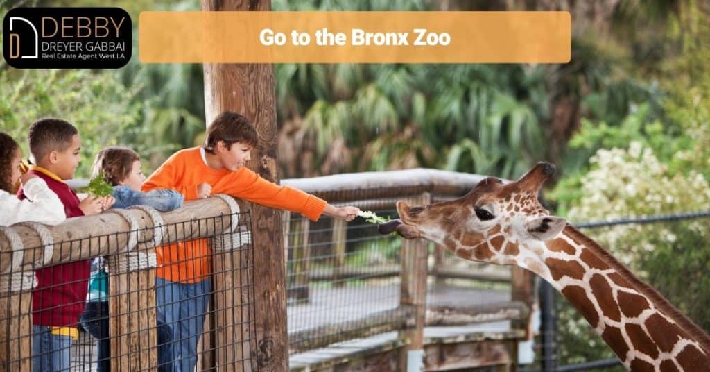 Go to the Bronx Zoo