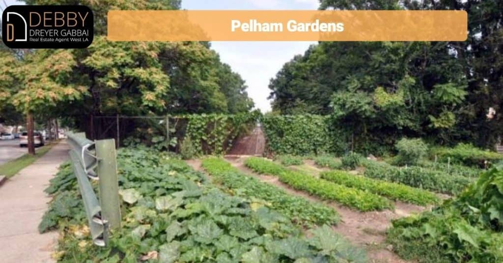 Pelham Gardens