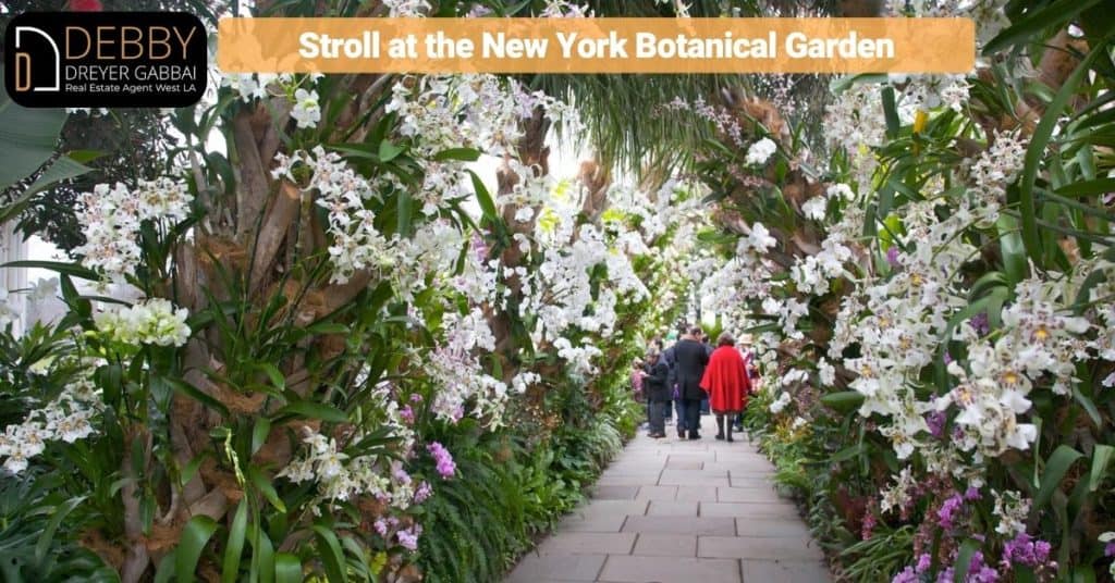 Stroll at the New York Botanical Garden