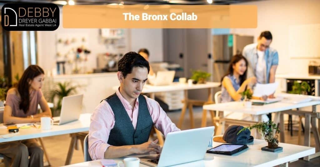 The Bronx Collab