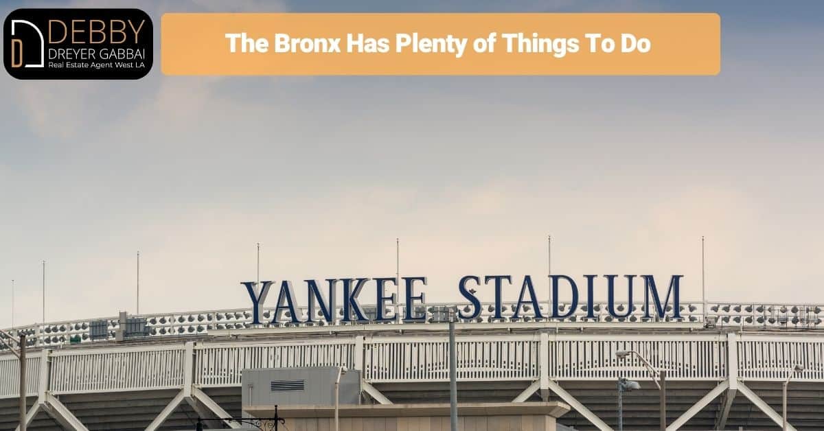 The Bronx Has Plenty of Things To Do