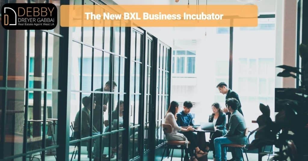 The New BXL Business Incubator