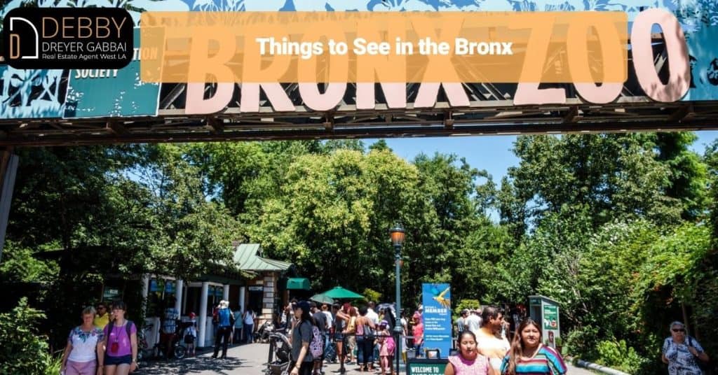 Things to See in the Bronx
