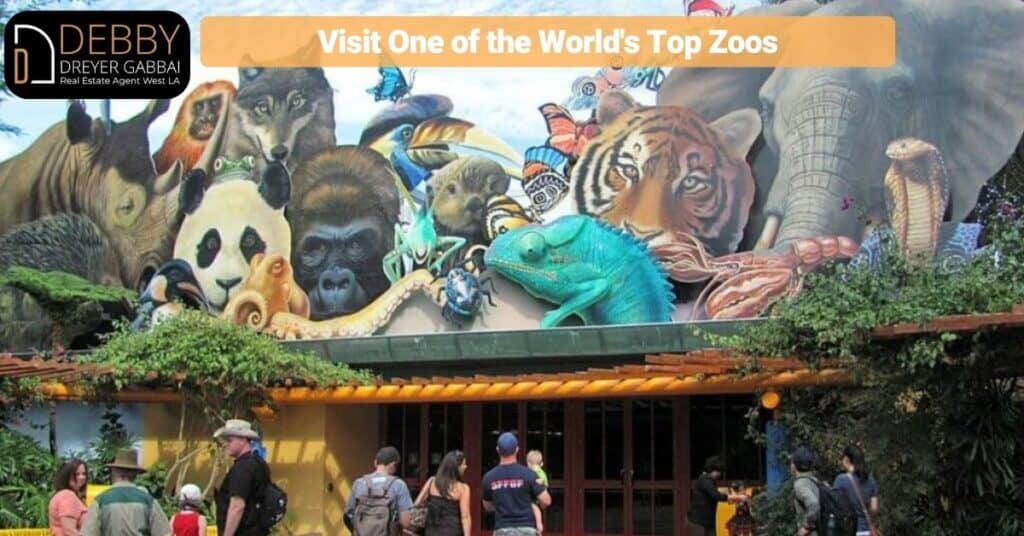 Visit One of the World's Top Zoos