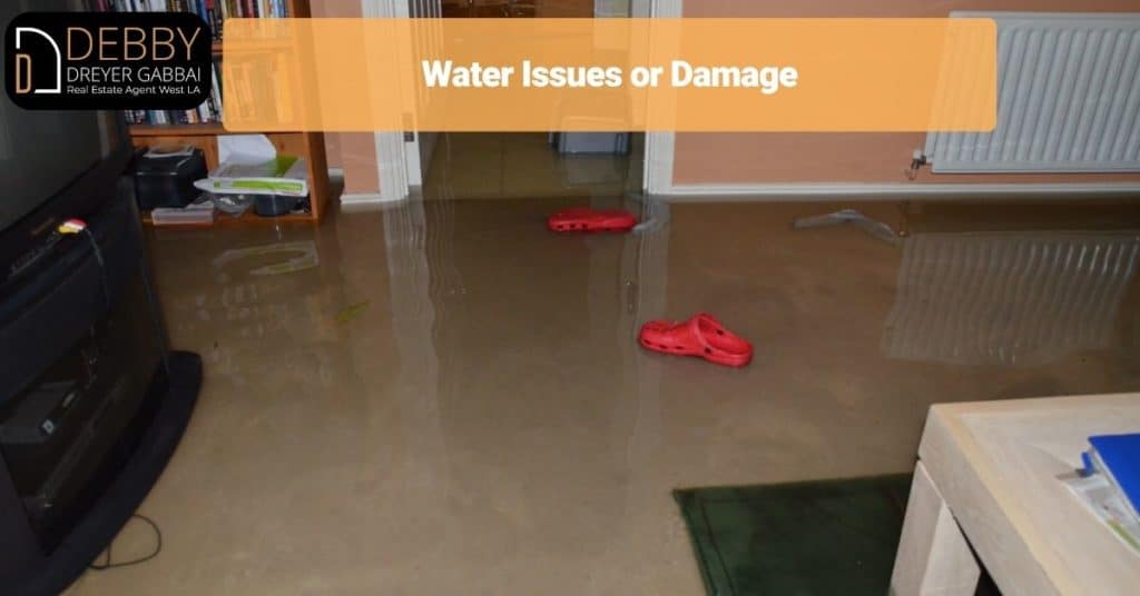 Water Issues or Damage