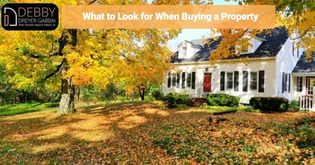 What to Look for When Buying a Property