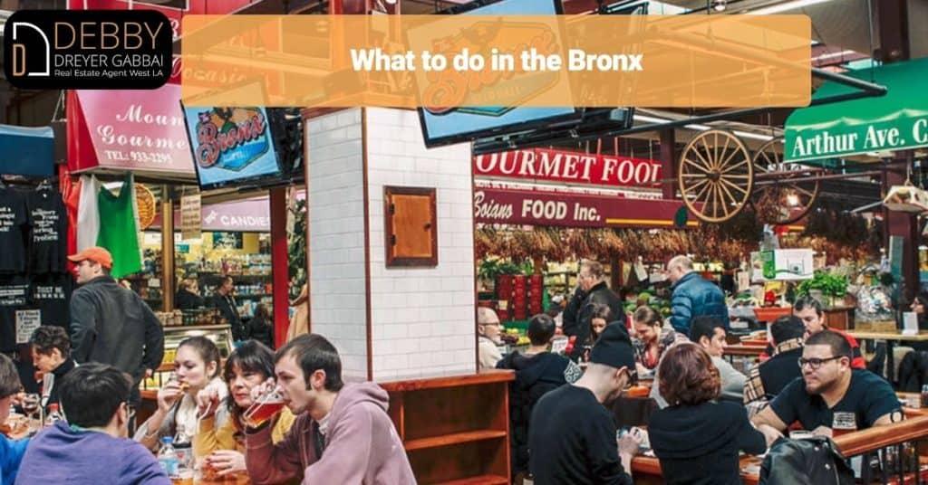 What to do in the Bronx