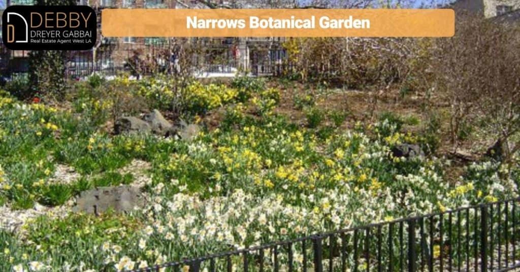 Narrows Botanical Garden