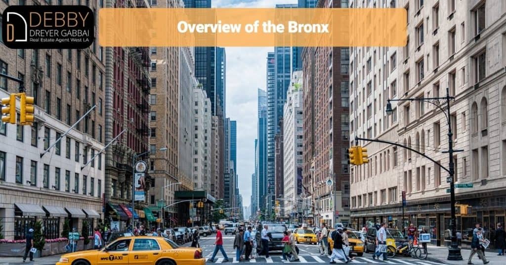 Overview of the Bronx